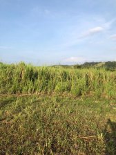 Terreno en Venta en CAMARONES Esmeraldas, Esmeraldas