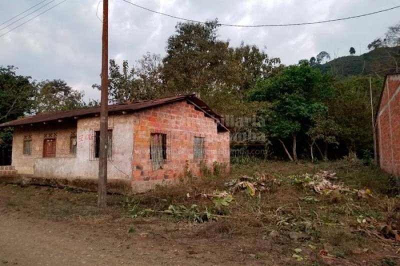 Foto Terreno en Venta en Zhucay, Canar - U$D 34.000 - TEV32650 - BienesOnLine