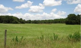 Terreno en Venta en  19028 sw 187 ave archer fl 32618, Guayas