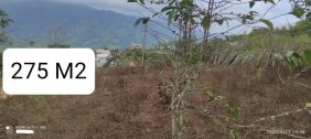 Terreno en Venta en  Puyango, Loja