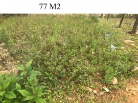 Terreno en Venta en  Puyango, Loja