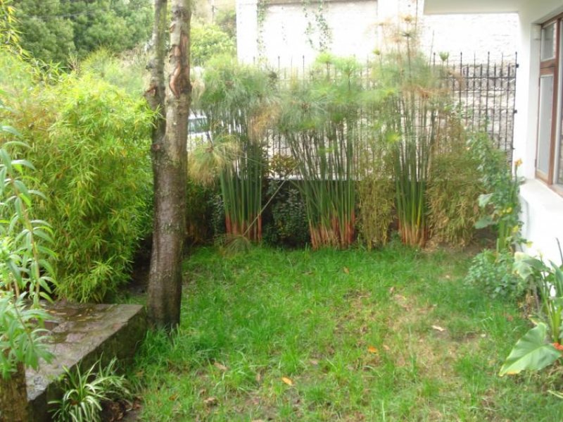 Foto Casa en Venta en LA CORUÑA, Quito, Pichincha - U$D 205.000 - CAV6100 - BienesOnLine