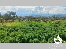 EN VENTA BONITA QUINTA EN CUBINCHE - PEDRO MONCAYO 