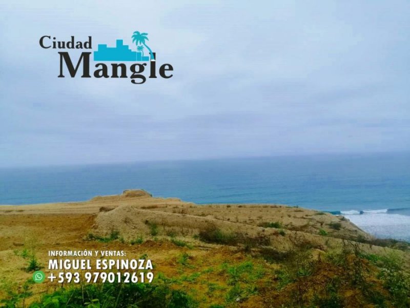 Terreno en Venta en MONTECRISTI Montecristi, Manabi