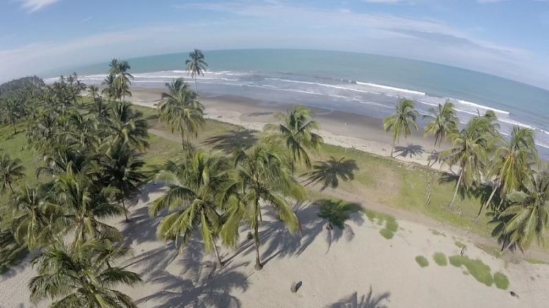 Terreno en Venta en COJIMIES Pedernales, Manabi