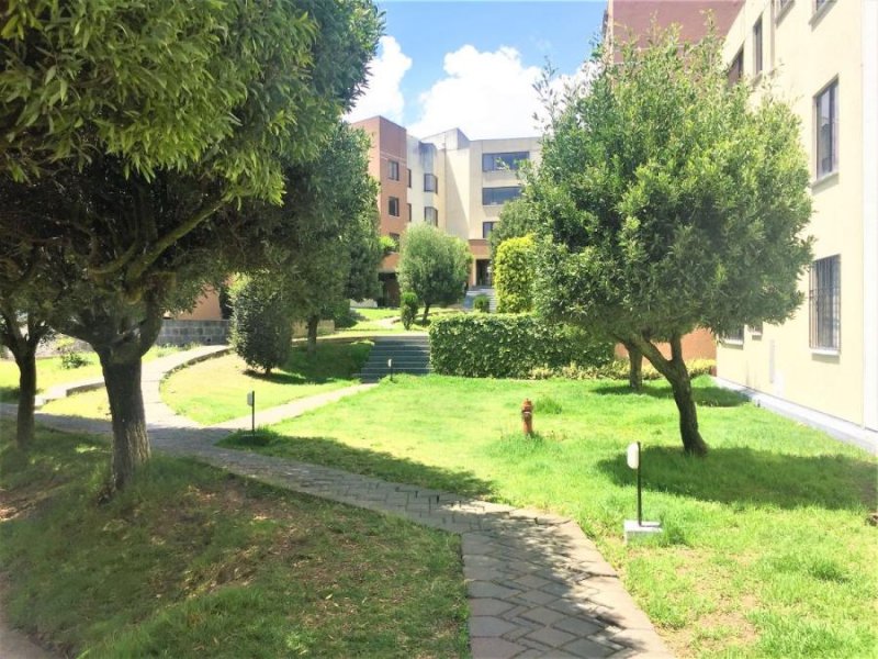 Departamento en Venta en Cotocollao Quito, Pichincha