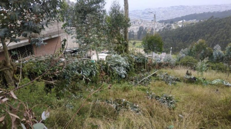 Terreno en Venta en Delicia Roldos, Pichincha