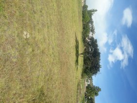 Terreno en Arriendo en Tumbaco Quito, Pichincha