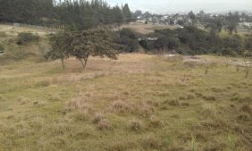 Terreno en Arriendo en Tumbaco la morita, Pichincha