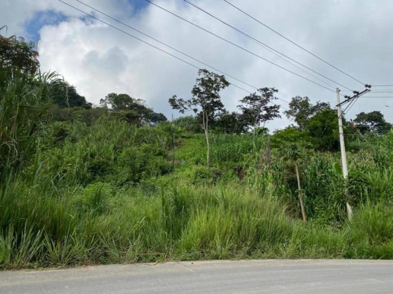 Terreno en Venta en Pacto Quito, Pichincha