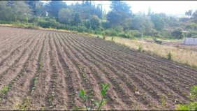 Terreno en Venta en San Roque Antonio Ante, Imbabura