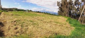Terreno de 949 m en Huachi Grande - San Alfonso 