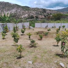 Terreno en Venta en Ambuqui Ibarra, Imbabura