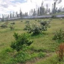 Terreno en Venta en ATUNTAQUI Antonio Ante, Imbabura
