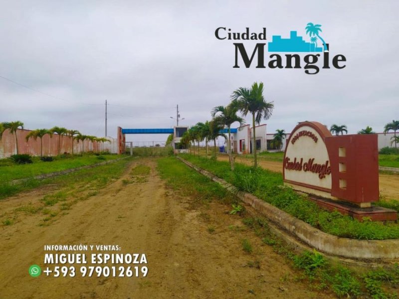 Foto Terreno en Venta en MONTECRISTI, Montecristi, Manabi - 15 hectareas - U$D 16.000 - TEV35478 - BienesOnLine