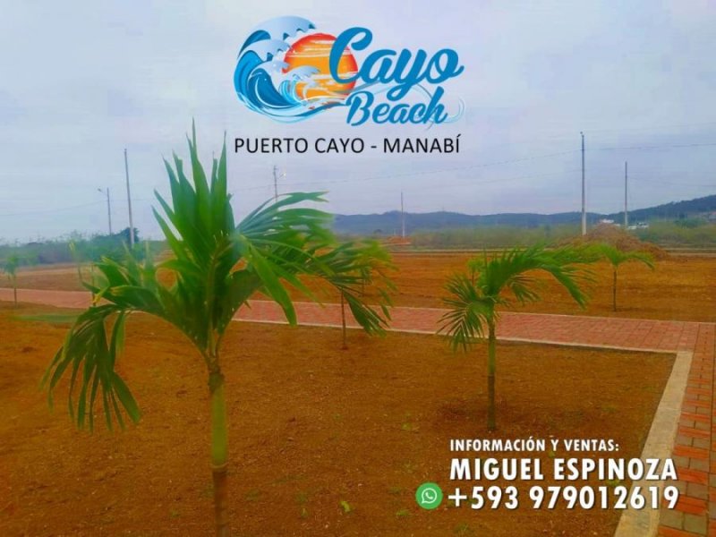 Foto Terreno en Venta en PUERTO CAYO, Jipijapa, Manabi - 15 hectareas - U$D 5.200 - TEV35432 - BienesOnLine