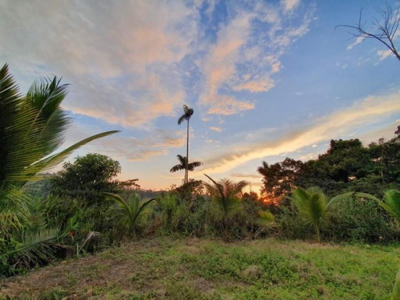 Terreno en Venta en  Pedro Vicente Maldonado, Pichincha
