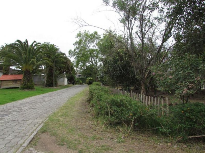 Foto Terreno en Venta en Cumbayá, Quito, Pichincha - U$D 638.750 - TEV30179 - BienesOnLine