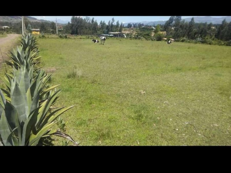 Terreno en Venta en Alangasí Quito, Pichincha