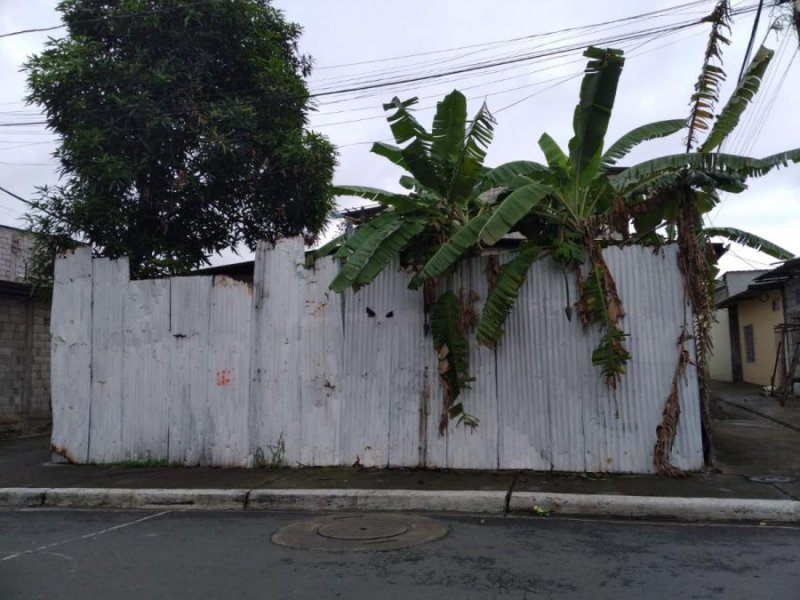Terreno en Venta en TARQUI guayaquil, Guayas