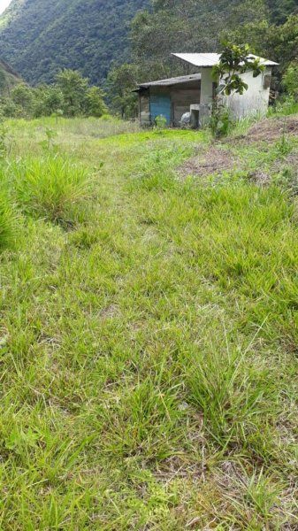 Terreno en Venta en Sabanilla Tambo, Zamora Chinchipe