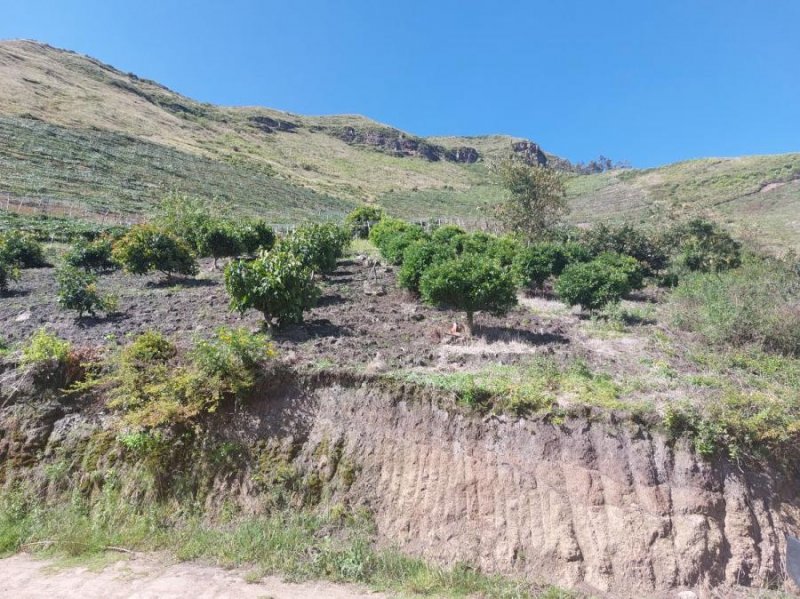 Terreno en Venta en Monte Olivo El Motilòn, Carchi