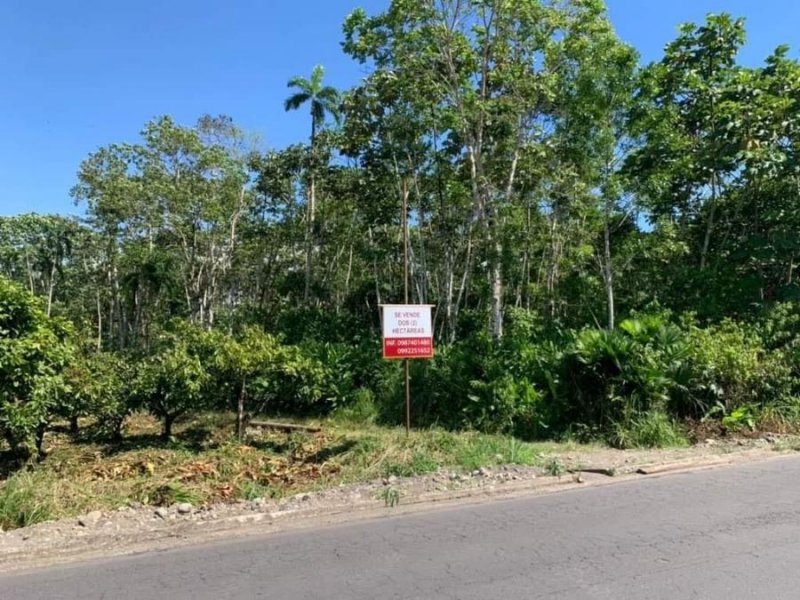 Terreno en Venta en AVILA HUIRUNO Loreto, Orellana