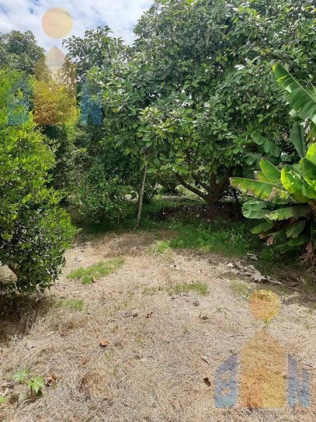 Terreno en Venta en Guayllabamba Quito, Pichincha