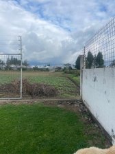 Terreno en Venta en Puembo Puembo, Pichincha