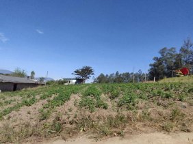 Terreno en Venta en Santa Rosa de Cuzubamba Cayambe, Pichincha