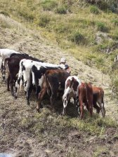 Terreno en Venta en  Yuquín Alto, Imbabura