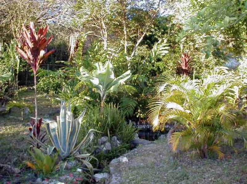 Terreno en Venta en Malacatos y Vilcabamba Loja, Loja